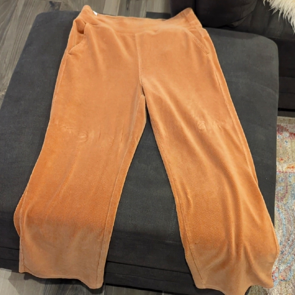 Calvin Klein Performance Tan Velour pants
